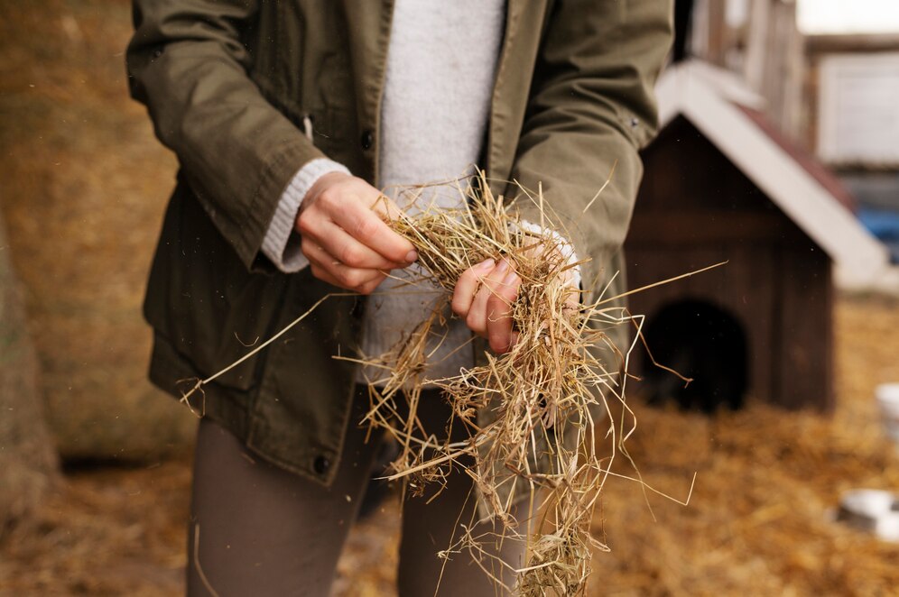 Monitoring and Recording of Forage Systems