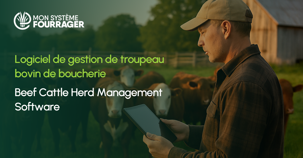Beef cattle herd management software in Quebec